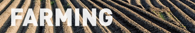 Farming Services performed by M.D. Construction - farm land preparation and leveling, field surveying and mapping, GPS precision grading, laser grading, agriculture field design, discing and plowing